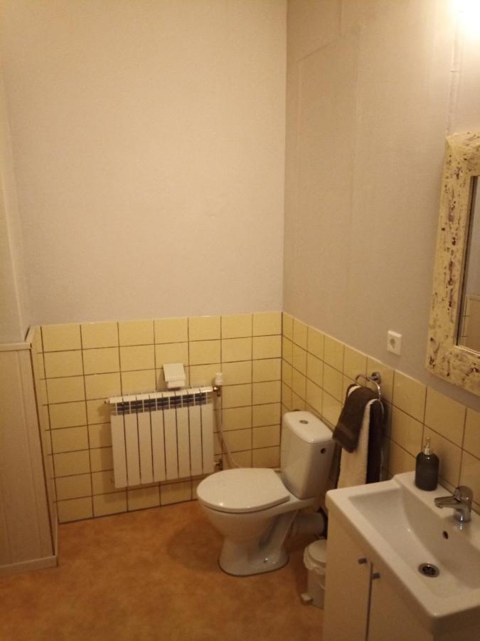 Zur Friedrichsruh Bed & Breakfast Oelsnitz  Exterior photo